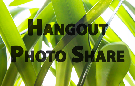 Hangout Photo Share